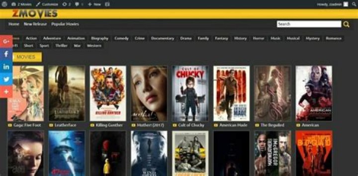 Beginner's Tips for Discovering Free Movies on Zmovie