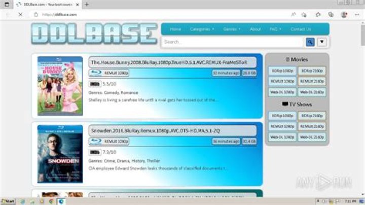 DDLBase: The Ultimate Guide to Seamless Movie Downloads