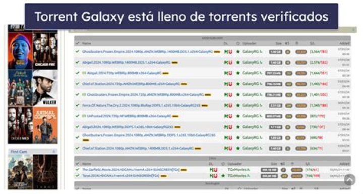 Best Tips to Spot and Avoid Fake Movie Torrents on TorrentGalaxy